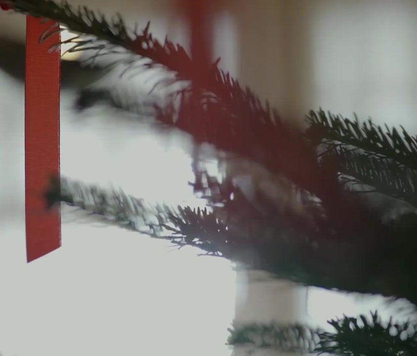 CALIDA Video
