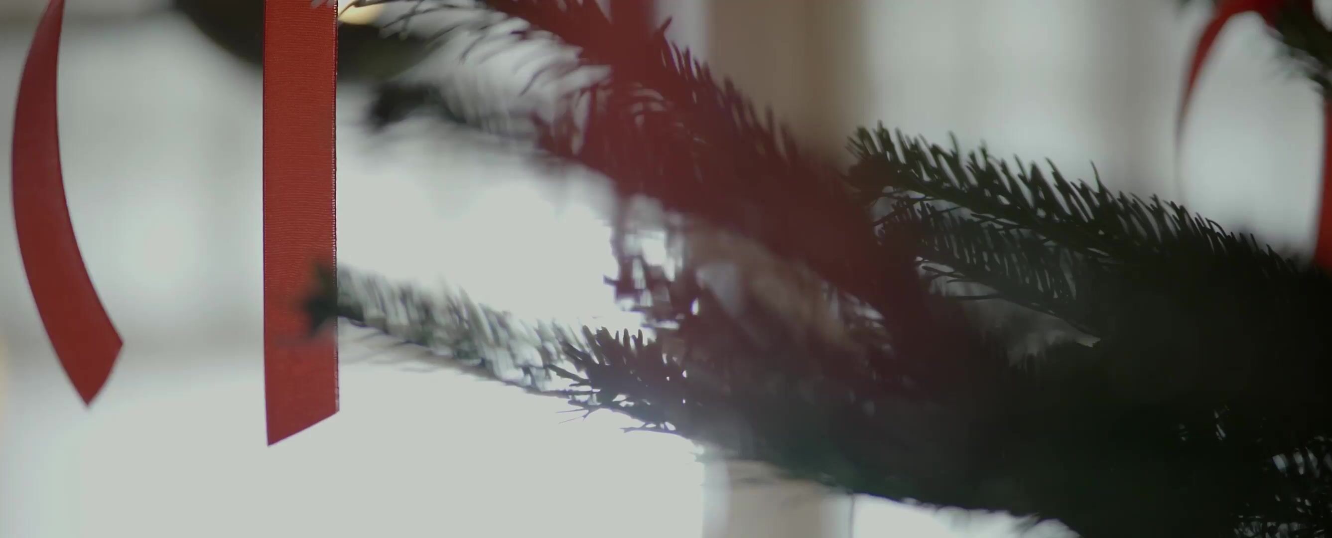 CALIDA Video